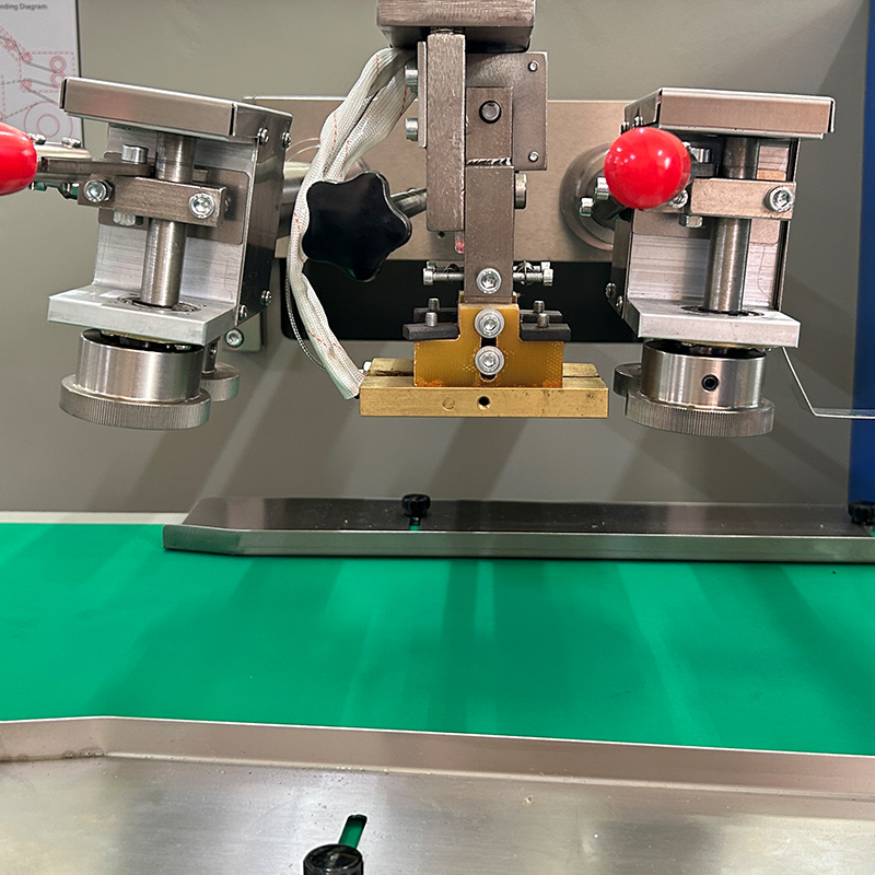 Автоматическая упаковочная машина для подушечных пакетов овощей/свежих фруктов