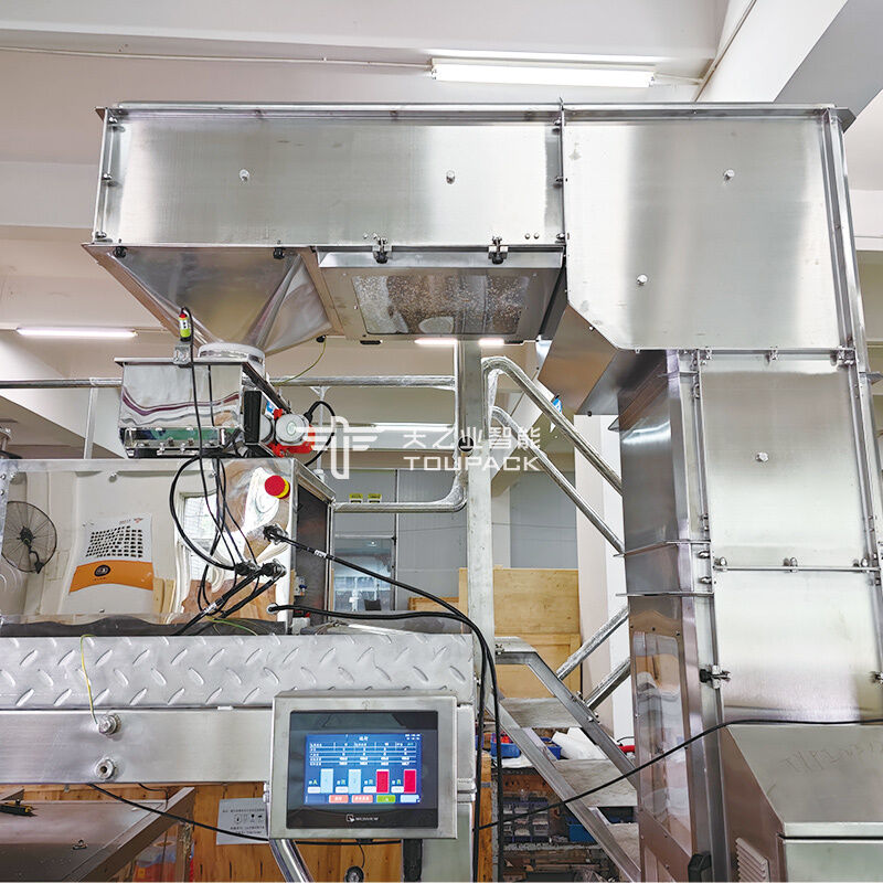 Spice Powder Packing Machine 100g 200g 500g Chili Powder Packaging Equipment Powder Filling and Sealing Machine