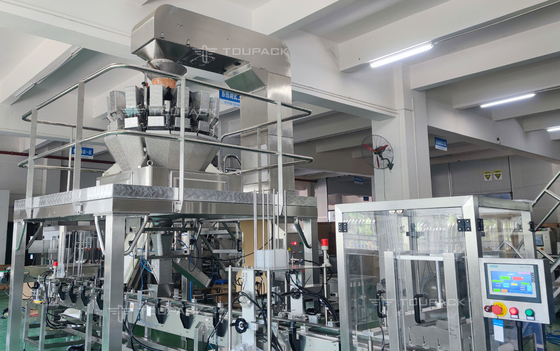 Линия упаковки коробки финиковой пальмы машины завалки зерна экрана LCD изготовления на заказ