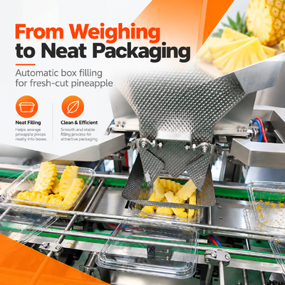 Automatic Fresh-Cut Fruit Packing Line with Tray Denesting Machine