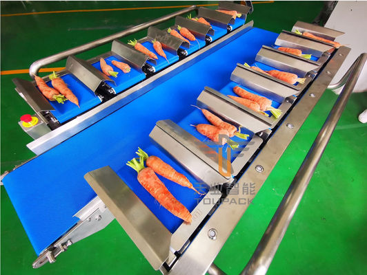 Weigher Multihead плода пояса овощей IP65 12 моркови