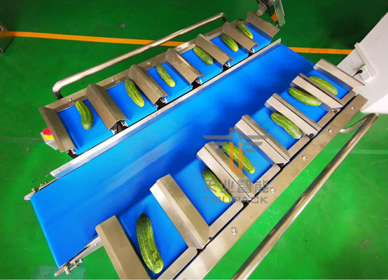 Weigher Multihead плода пояса PLC 12 огурца