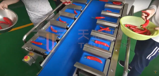 Weigher пояса Сименс качества еды моркови Chili для незаконного продукта