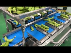 Заводская промышленность Полуавтоматическая сетка сетка сумка взвешивание подсчет сетки обрезка упаковка упаковка