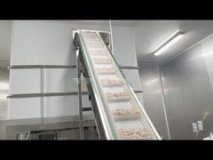 Представляем 14-головочный мультиголовочный дозатор объемом 1,6 л/2,5 л для замороженных пельменей, арахиса для вас