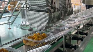 Автоматическая линия для взвешивания и упаковки нарезанного кубиками манго | 50 коробок/мин | ТУПАК